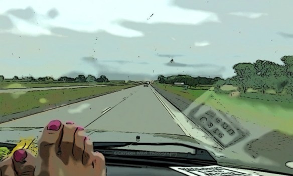 cartoon image of dash