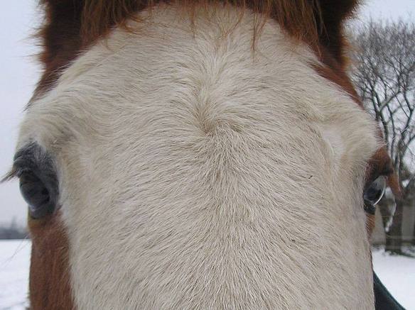 10450565_10152501954928550_8142712899286859820_n